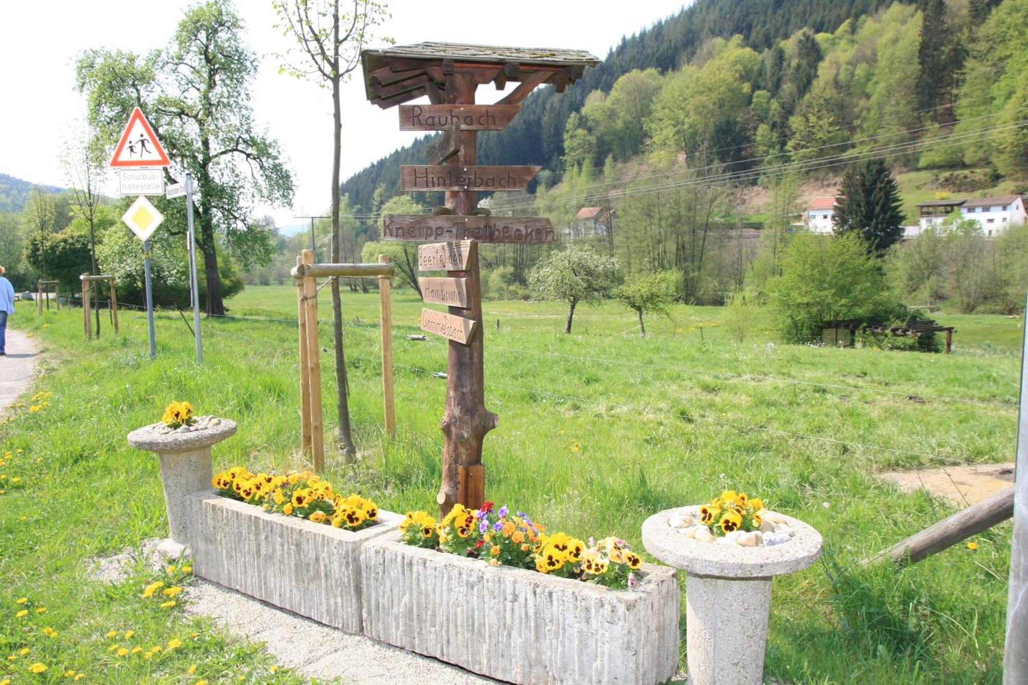 Gasthof Zur Traube Finkenbach Eksteriør bilde
