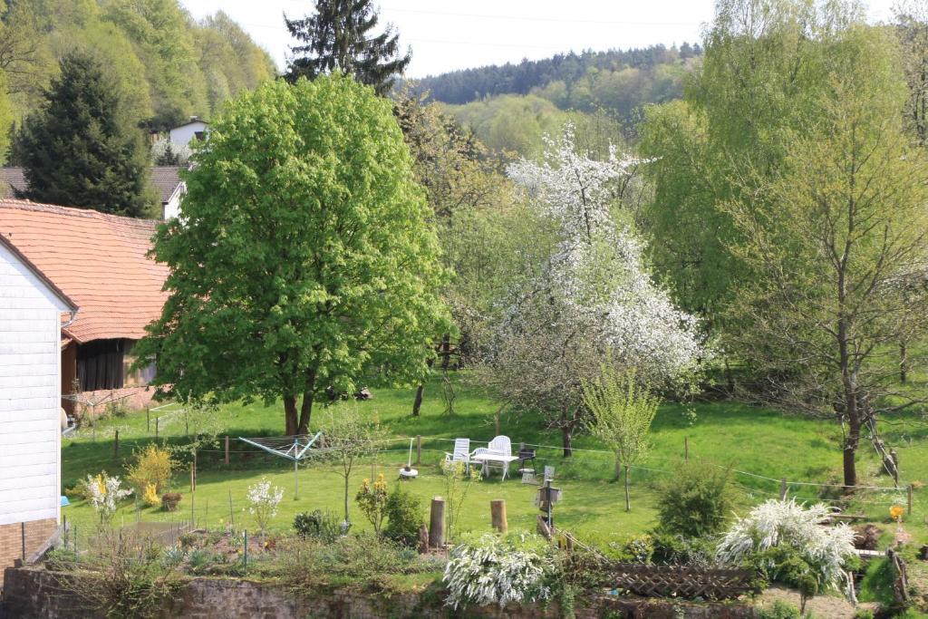 Gasthof Zur Traube Finkenbach Rom bilde